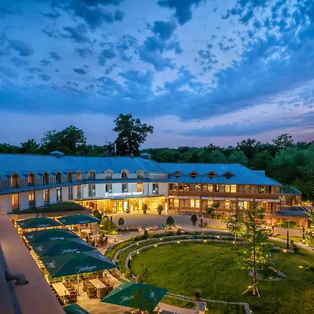 Dorint Thermenhotel Hotel Freiburg im Breisgau